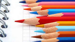 selective focus photo of coloring pencils placed on top of book