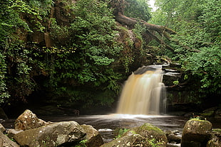 time lapse photo of falls beside trees