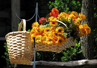 yellow flowers in basket HD wallpaper
