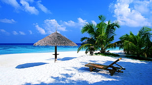 white sand beach with wooden sun lounger and hut near palm tree HD wallpaper