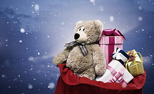 Santa's gift boxes and bear