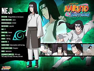 Naruto Shippuden Hyuuga Neji