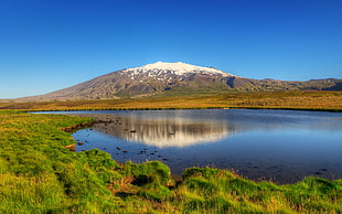 body of water and green grass field photography