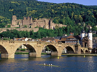 brown concrete bridge, Heidelberg, Germany HD wallpaper