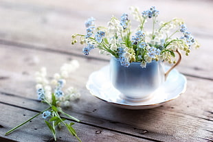 white-and-gold ceramic teacup and saucer, flowers