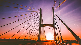 Sunset, Bridge, Cables, HD