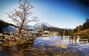 mountain and body of water during daytime HD wallpaper