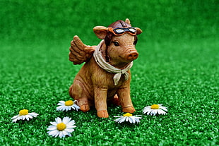 brown pig with daisy flower figurine HD wallpaper