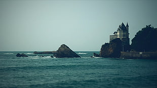 gray castl, sea, nature, house, landscape