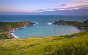 landscape photo of lake between green island at daytime