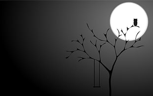 owl silhouette illustration, owl, simple, black, monochrome HD wallpaper