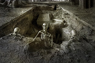 gray skeleton illustration, tomb, skeleton