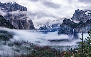 ice cap mountain with pine trees at daytime, yosemite