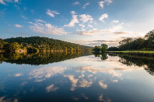 green trees reflecting on water, lake austin