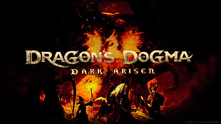 Dragon's Dogma Dark Ariser digital wallpaper HD wallpaper