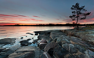 landscape photography of seashore during golden hour