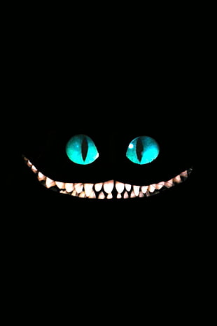 Cheshire Cat HD wallpaper