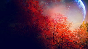 red cherry tree digital wallpaper, fantasy art, space art, planet, trees