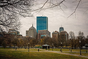 landscape photography of high rise building surrounded by trees