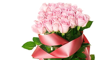 pink rose bouquet with red bow HD wallpaper