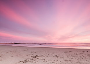 photo of beach during golden hour