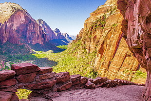 brown rugged mountain with green and yellow forest during daytime