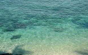 green and white area rug, beach, photography, nature, water HD wallpaper