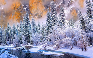 artwork of landscape covered with snow, winter, Yosemite National Park, river, cold HD wallpaper
