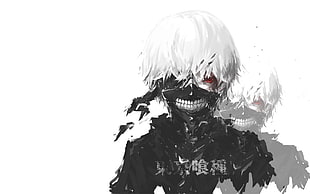 Tokyo Ghoul Ken Kaneki, Tokyo Ghoul, Kaneki Ken