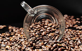 clear glass cup with coffee beans