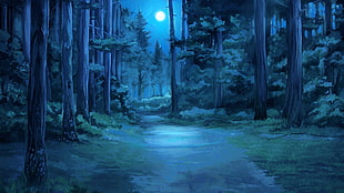 forest during nighttime artwork HD wallpaper