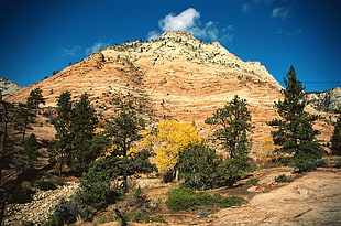 beige and brown mountain with green trees