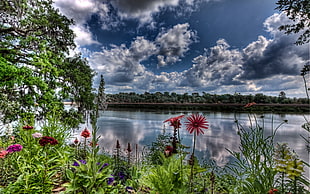 lake near tree and flowers, river, nature, flowers, digital art HD wallpaper