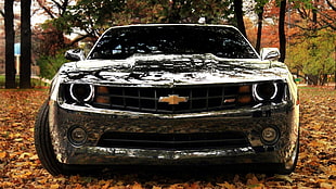 black Chevrolet Camaro, car, Camaro, Chevrolet