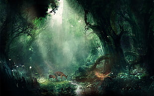 trees with two Deers HD wallpaper