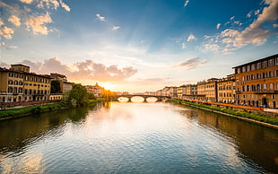 brown concrete bridge and buildings, cityscape, river, bridge, building