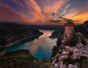 aerial photography of water between trees, nature, landscape, sunset, lake HD wallpaper