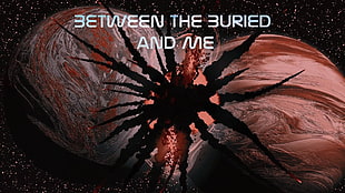 between the buried and me text, metal, Between the Buried and Me, BTBAM, music HD wallpaper