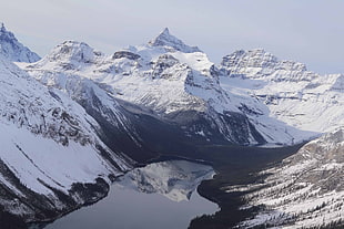 white snowy mountain, mountains, water, snow, trees