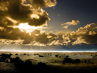 desert with gray clouds