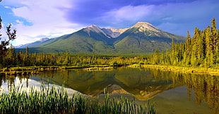 body of water near pine trees with snow-capped mountain at distance