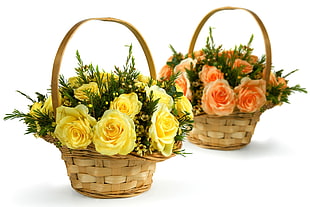 yellow and orange petal flowers in basket HD wallpaper