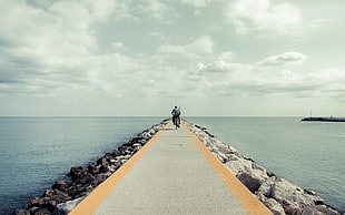 gray road, coast, path, sea, sky