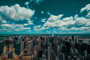 aerial photography of city skyline during daytime HD wallpaper