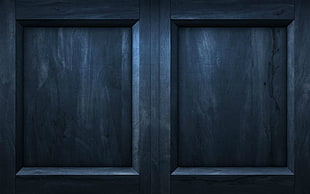 gray wooden paneled door, wood HD wallpaper