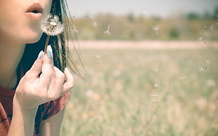 woman wearing red shirt holding and blowing Dandelion flower HD wallpaper