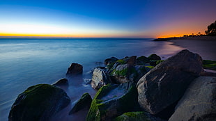 seashore under golden hour, sea, nature, rock, beach