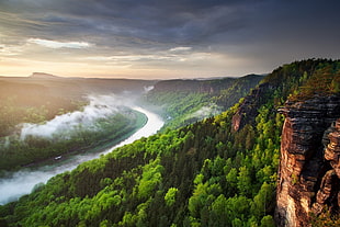 mountains and trees painting, landscape, nature, river, canyon