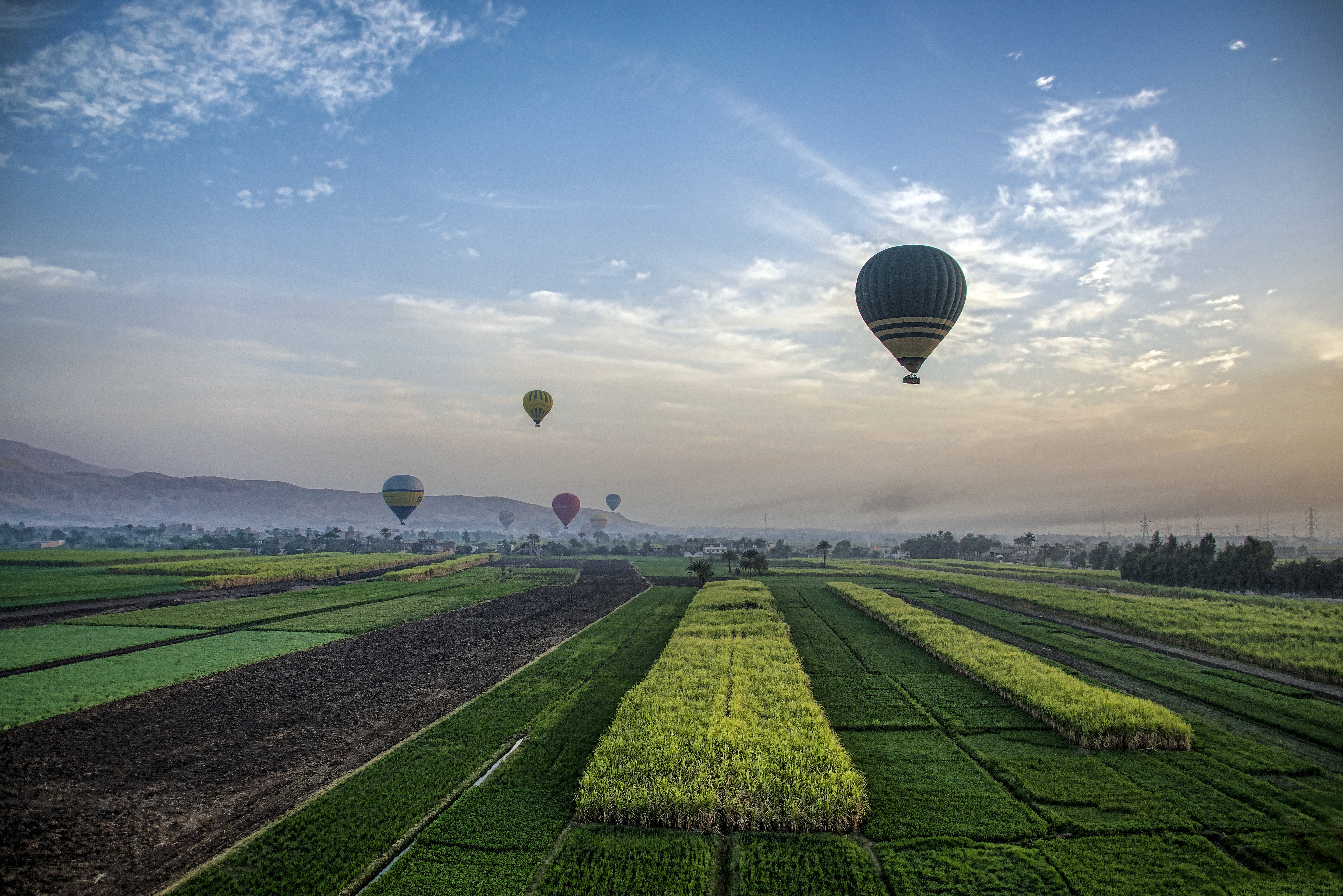 green grass with flying hot hair balloons photo, luxor