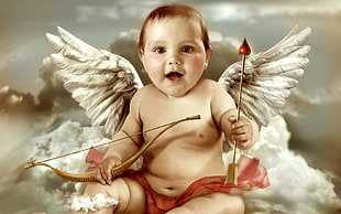 baby with wings holding a bow and arrow illustration HD wallpaper